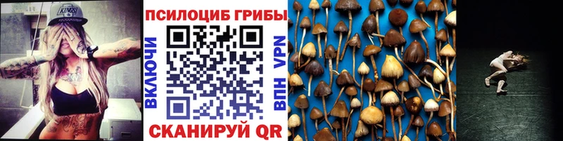 blacksprut как зайти где можно купить наркотик Абакан Псилоцибиновые грибы Cubensis